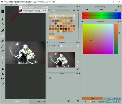 CODIJY Colorizer Pro 4.2.0